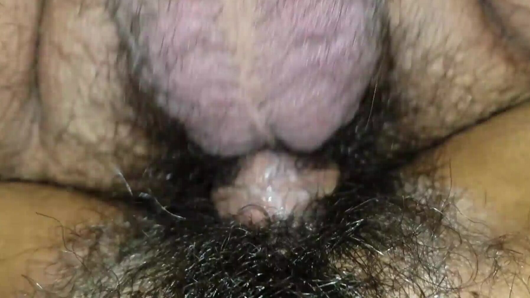 Wife hairy pussy sex video picture