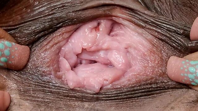 Vagina close up