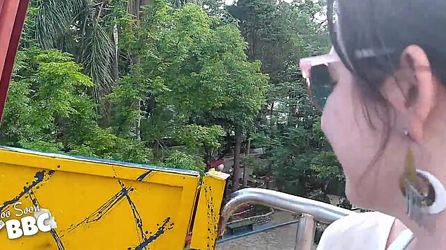 Raunchy ride: BJ on the Ferris Wheel