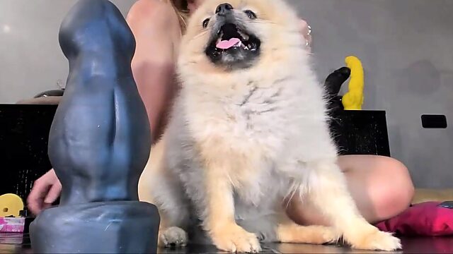 Una zorra rubia tetona hace sentadillas profundas mientras su culo abierto se traga un enorme tapón anal en una cámara en vivo