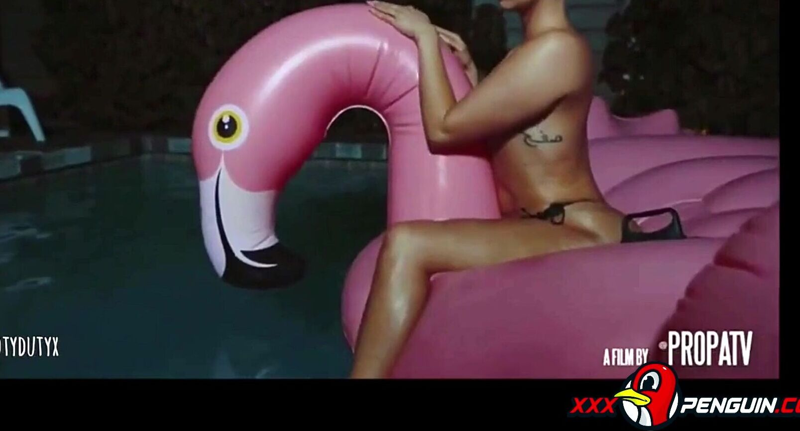 Slideshow zahra amir ebrahimi sextape.